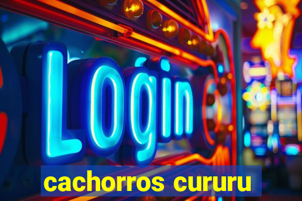 cachorros cururu