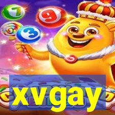 xvgay