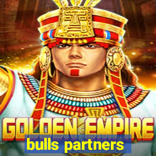 bulls partners