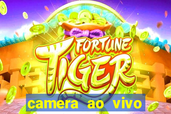 camera ao vivo praia do forte bahia