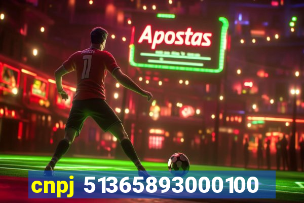 cnpj 51365893000100