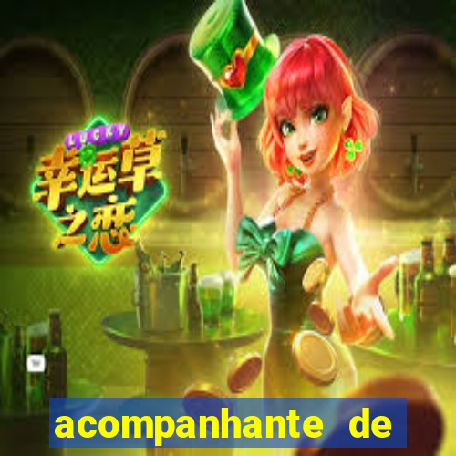acompanhante de porto belo